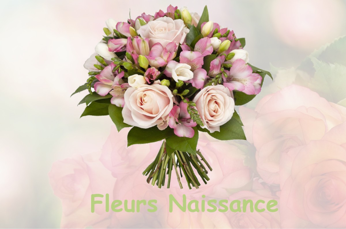 fleurs naissance CERANS-FOULLETOURTE