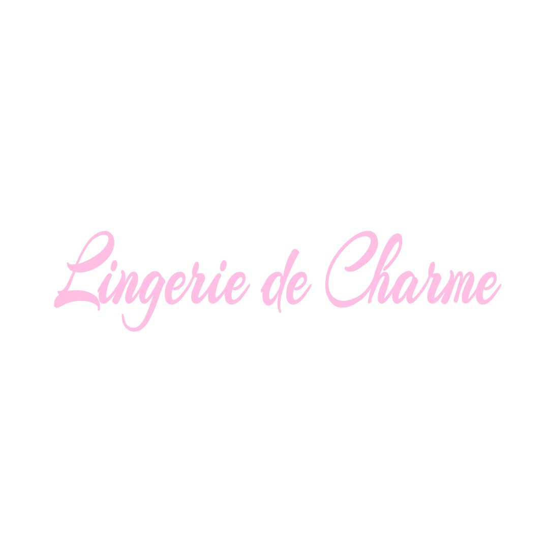 LINGERIE DE CHARME CERANS-FOULLETOURTE